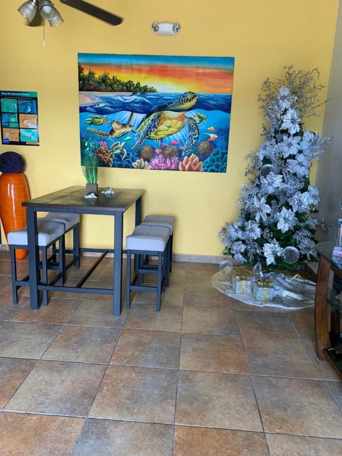 Parador Turtle Bay Inn ラ・パルグエラ エクステリア 写真