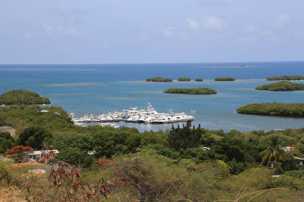 Parador Turtle Bay Inn ラ・パルグエラ エクステリア 写真