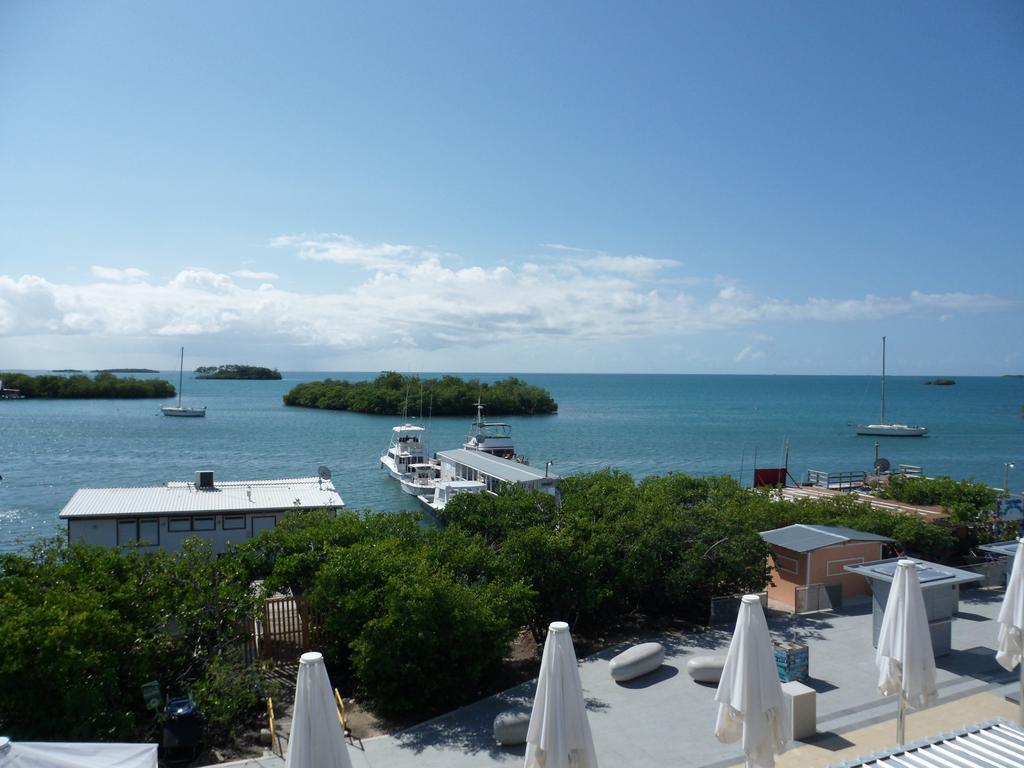 Parador Turtle Bay Inn ラ・パルグエラ エクステリア 写真
