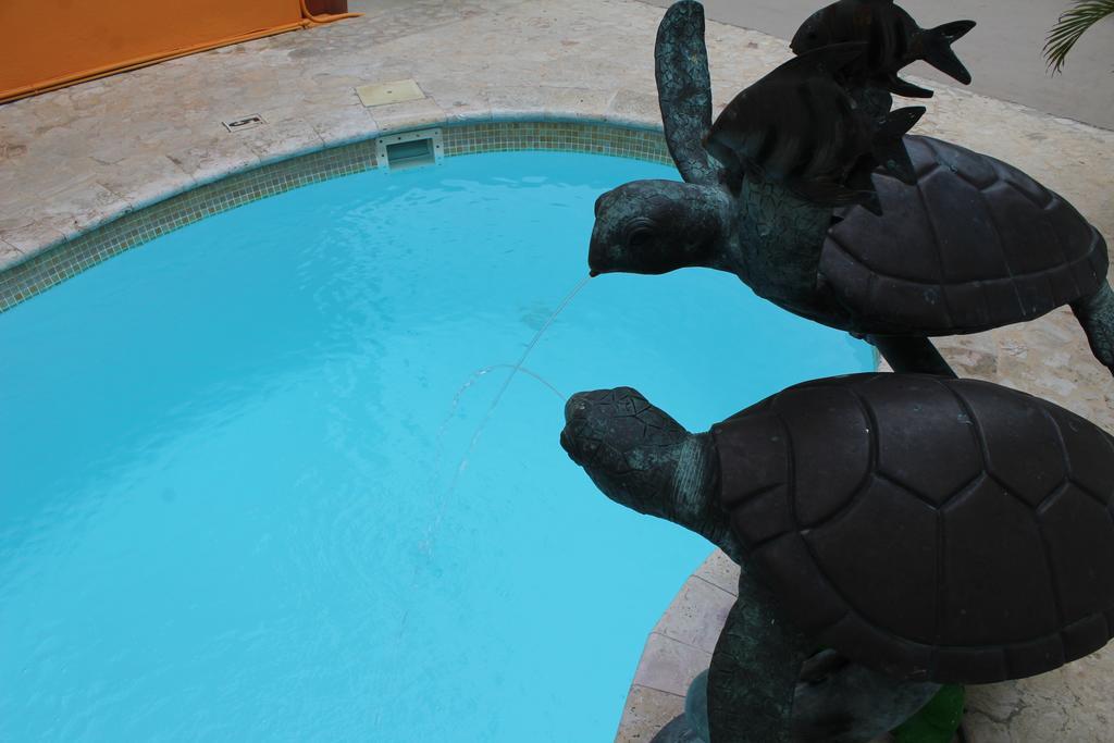 Parador Turtle Bay Inn ラ・パルグエラ エクステリア 写真