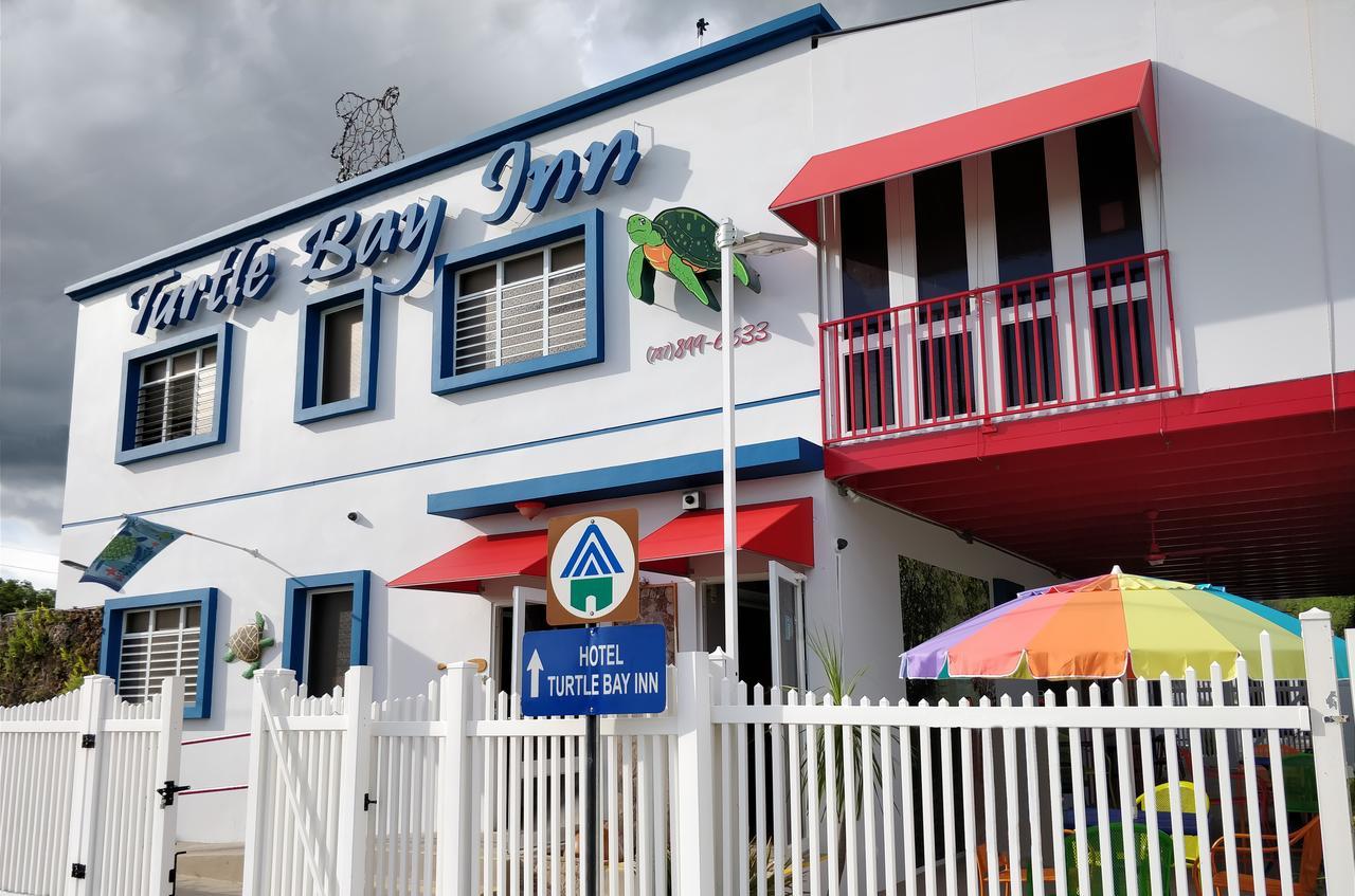 Parador Turtle Bay Inn ラ・パルグエラ エクステリア 写真